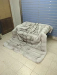 Luxury Full Skin "blue Fox Fur Throw Real To Blanket. Fixed Price $2200.00.