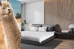 Luxury Alpaca Wool Duvet Medium Quilt Natural Year / Seasons Hypoallergenic. Fixed Price $293.10.