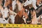 By 1/2 Yd, Brown Cream Black Packed Horses Quilt Cotton, Windham, WHISTLER,P7073. Fixed Price $5.50.