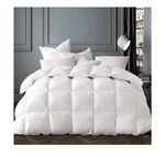 Globon Winter White Goose Down Comforter King Size,duvet Insert 60 Oz 106 X 90. Fixed Price $225.00.
