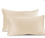 Nestl Elegant Velvet Removeable 2-PACK Decorative Pillows Cover, 12" X 20"-BIEGE. Fixed Price $18.95.