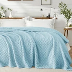 Exclusivo Mezcla King Size Fleece Blanket For ( 90X104 ), Light Blue. Fixed Price $40.99.