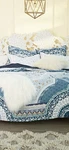 Anthropologie King Paravel Quilt And Shams. Fixed Price $179.00.