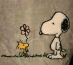 Berkshire Snoopy/woodstock Spring/sunmer/ Flowers Throw Blanket. Grey. 60X70". Fixed Price $29.50.