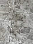 Calvin Klein Aquarelle Floral Duvet Cover Full/ Queen 2 Standard Shams. Fixed Price $149.99.