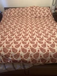 3PC Target Opalhouse Jungalow Peacock Comforter Pillow Sham Set Queen Gold Rust. Fixed Price $99.99.