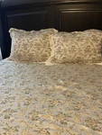 Bella Notte Colette Embroidered Satin Coverlet + 2 Shams Queen Ivory Green Gold. Fixed Price $645.00.