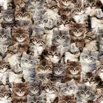 Feline Drive Fabric One Of Kind Kittens Multi Packed Cats - Sold By The Yard. Fixed Price $13.40.
