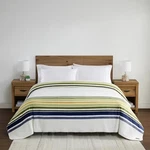 Pendleton Pinto Basin King Blanket Soft Plush Ivory Blue Striped New Size. Fixed Price $139.95.