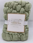 Pottery Barn Teen Cream Puff Microfiber Sham Sage Green Standard #J5288. Fixed Price $31.41.