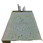 41.5"X64" Quilted Throw Hm W/up-cycled Vtg Handemb Tall Ballerina Belle Coverlet. Fixed Price $50.00.