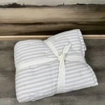 Pottery Barn Carter Striped Quilted Pillow Shams Standard White Chambray Nwot. Fixed Price $32.95.