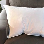 East Coast Bedding 300TC Down & Feather Pillow Firm Support For All Sleepers. Fixed Price $76.99.