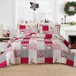 Hailea 3 Piece Christmas Quilt Set Twin Size 68X86 Snowman Elf Deer. Fixed Price $76.59.
