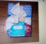 The Pioneer Woman 20"X36" Heritage Floral Set Of - King Size Quilted Shams. Fixed Price $11.99.
