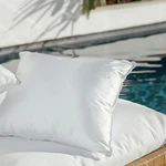 Indoor/outdoor Waterproof Throw Pillow Insert (22"X22"), Decorative Fo.... Fixed Price $34.33.