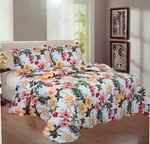 3-PIECE Quilt Set Bedspread Lightweight Reversible Coverlet Floral. Fixed Price $31.19.