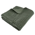 Velvet Stitch Green With White Quilted Throw - Levtex Home. Fixed Price $39.00.