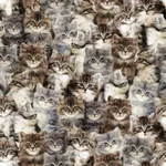 One Of Kind Fabric - Digital Printed Packed Cats Windham Yard. Fixed Price $13.98.
