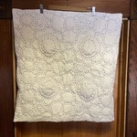 Anthropologie Hand-embroidered June Collection Euro Sham Blue White Pillow Cover. Fixed Price $15.00.