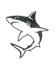 Shark Design #2 Decal For Car Windows Laptops Most Smooth Surfaces. Fixed Price $5.25.