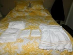 Pottery Barn Matine Yellow Toile Queen Bedspread Blanket Quilted Set Sheet Shams. Fixed Price $255.00.