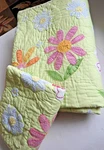 Pottery Barn Kids Daisy Garden Quilt Bedspread Twin Size & 1 Pillow Sham Floral. Fixed Price $75.00.