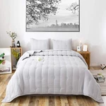Ethan Comforter, Quilt, Stone Washed Microfiber 3-PIECE Set Allover St.... Fixed Price $82.92.