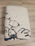 Pottery Barn Kids Peanuts Snoopy Surfer Quilted Standard Sham. Fixed Price $48.00.