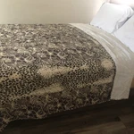 Animal Print Floral Quilt Leopard Patchwork 100% Cotton White Back 100X94 New. Fixed Price $55.00.