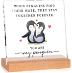 Steadstyle Valentines Gifts For Him Her Boyfriend Girlfriend, Romantic Acrylic P. Fixed Price $13.37.