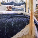 Pottery Barn Teen - Harry Magical Velvet Quilt Popular. Fixed Price $115.33.