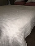 Peacock Alley Quilted Queen Quilt/coverlet Beige Matelasse. Fixed Price $80.00.