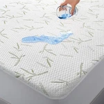 Bamboo Mattress Protector Hypoallergenic & Breathable Waterproof Cover. Fixed Price $24.49.
