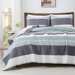 Andency Queen Quilt Bedding Set Sage Green, 3 Pieces Patchwork Mint Str.... Fixed Price $43.35.