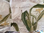 5 Piece Pottery Barn Orchid Botanical Queen Duvet 2 Standard & European Shams. Fixed Price $156.00.