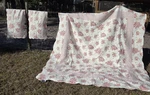 Eileen West Reversible Roses Floral Pink Cottagecore Quilt Comforter 90X101. Fixed Price $99.99.