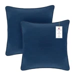 A1HC Set 2 Luxurious Fine Soft Velvet Throw Pillow Covers Only, For Sofas,.... Fixed Price $40.16.